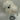 11" Animal Treetopper-Bird