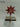 8.25"H. Eight Pointer Star Stocking Holder