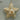 Paper Dyed Star Orn