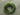 Green Plastic Wreath