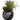 Halloween 8“H Floral with Ceramic Vase