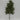18" Green Pine Needle Pick