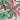 RIBBON LEAVES PATTERN