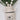 Plant in vase ornament