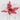 Stripped white and red poinsettia pick