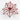 White and red poinsettia pick