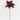 Glittered burgundy poinsettia pick