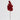Red leaf pick