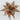 Shiny brown poinsettia pick