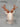 Polyresin Deer Head with Copper Antler