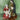 Xmas Nativity/Holy family Set