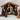 Xmas Nativity Set/11 Boxed