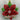 Glass Poinsettia Ornament