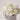 Nci Chr22 Gl Artif Flrl 3