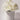 Nci Chr22 Gl Artif Flrl 3