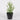 4 X 4 X 10"H ARTIFICIAL GREENERY DECOR