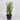 5 X 5 X 14"H ARTIFICIAL GREENERY DECOR