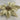 Clips White/Gold Poinsettia (Set of 4)