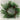 20”dia. Wreath with berries