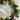 20' dia. Holly and Berry Wreath