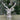Ornaments, 오너먼트, Christmas, 크리스마스, Wreath, 리스, Garlands, 그랜드 , Tinsel ,장식용 반짝이 , PVC Tree PVC, 트리, Table Top Décor ,테이블 데코 , Angel, 천사, Snowman, 스노우맨 , Reindeer, 순록 , Christmas decorations, 크리스마스 장식