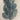 Blue Peacock Leaf Picks